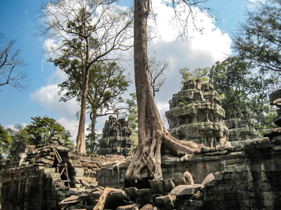 Ta Prohm or Jungle Temple - a temple whose renovation was completed by Archaeological Society of India in 2013