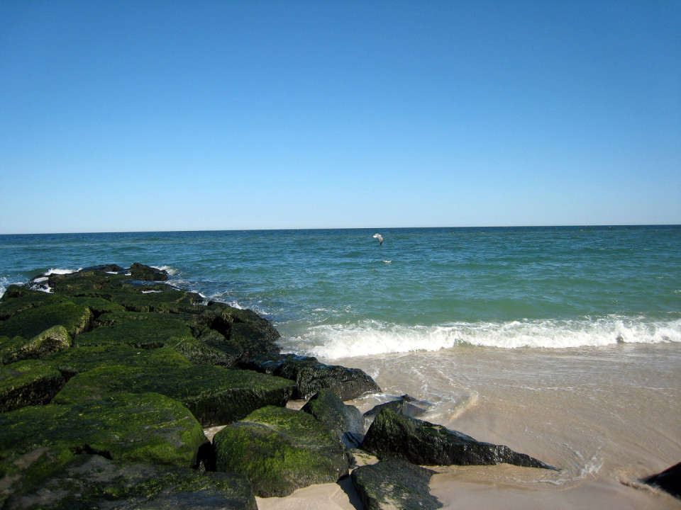 Cove Island Beach, Stamford, Connecticut - Located 45 mins from New York City. A good Place for family gathering with jogging trails, shallow waters protected by Long Island Sound making it a perfect place for kids.
