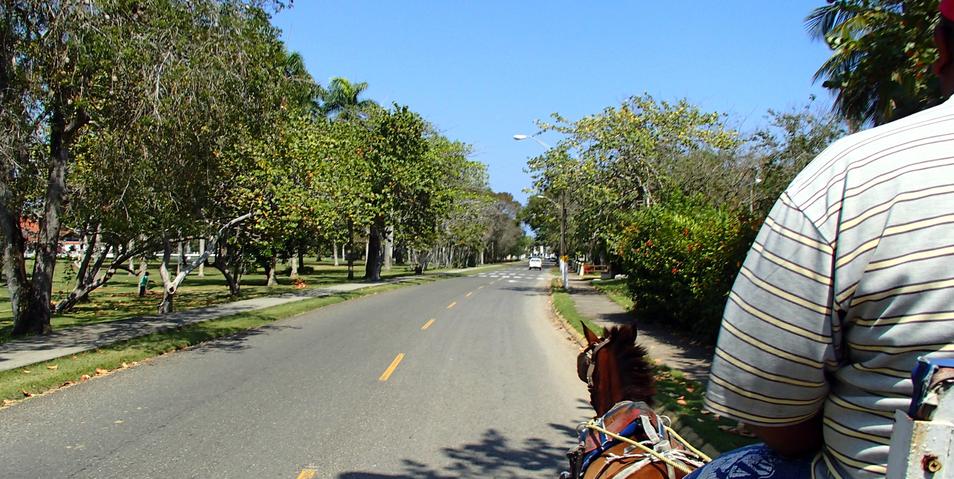 Buggy Ride within Playa Dorada Complex