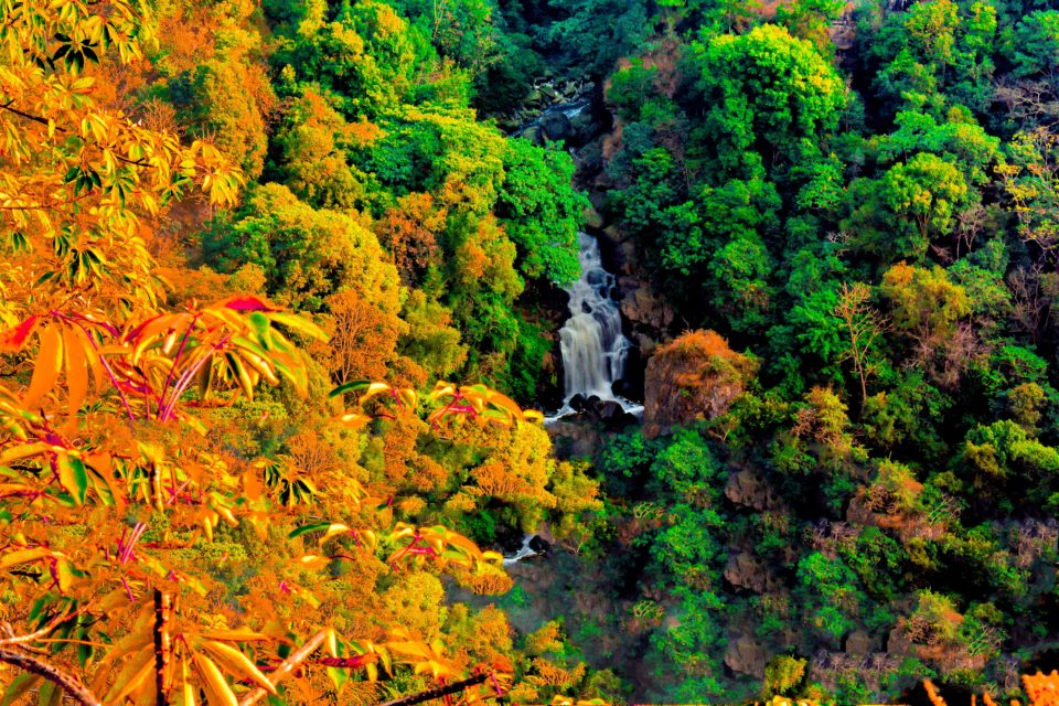 Bishop and Beadon falls are 2 falls within Shillong city limits