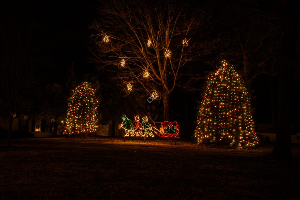 Trees decorated with Christmas lights in McAdenville