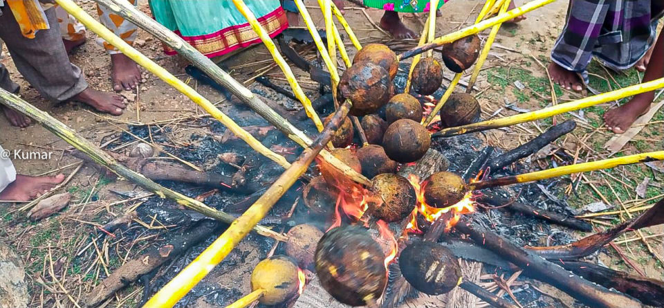 Fire Roasting of coconut